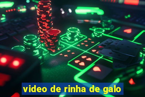 video de rinha de galo